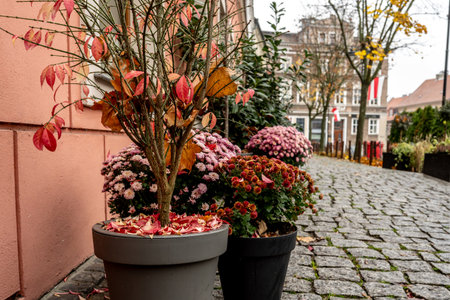 Cozy Autumn City Street In Polandの写真素材