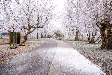 First Snow Falling On A Path In The Park