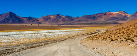 Desert Road On Altiplano In Bolivia With Salt Flats And Mountains In The Background