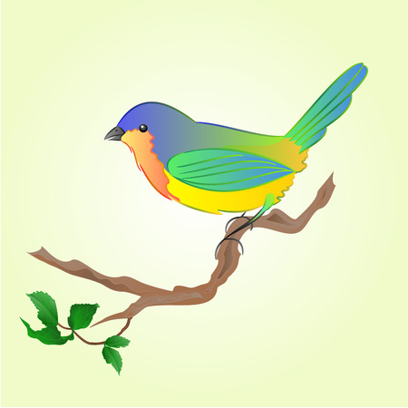Bird on branch Spring background vector illustration.のイラスト素材