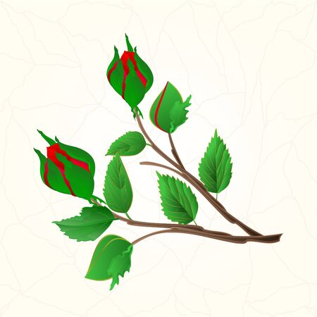 Buds purple rose cracks in the porcelain seamless texture vintage vector illustrationのイラスト素材