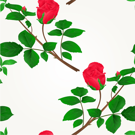 Rosebud red stem with leaves and blossoms illustration.のイラスト素材