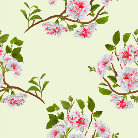 Seamless texture branch white hibiscus tropical flowers  vintage hand draw  vector botanical illustration for designのイラスト素材