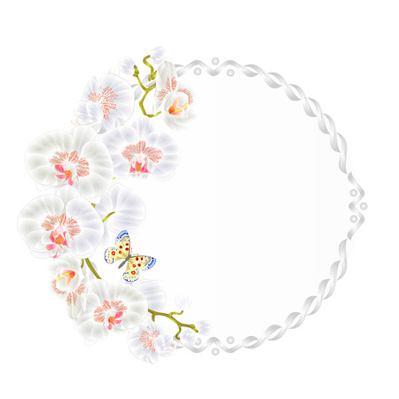 Floral vector round  frame with orchids White flowers tropical plants Phalaenopsis and cute small butterfly vintage  festive  background vector illustration hand draw. editablのイラスト素材