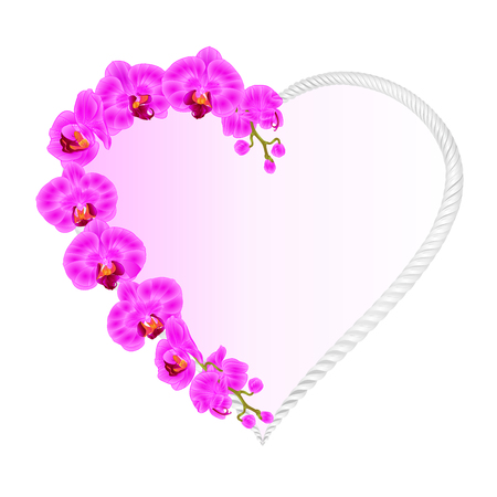 Heart-shaped orchid purple flowers. Tropical plants vintage hand-drawn vector.のイラスト素材