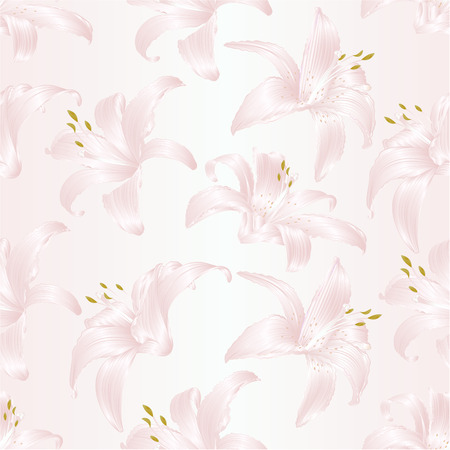 Seamless texture Lily white  Lilium candidum, a white flowers  vector illustration editable Hand drawのイラスト素材