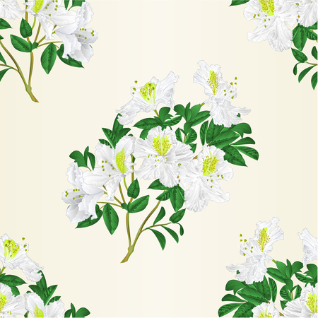 Seamless texture white rhododendron twig with flowers and leavesのイラスト素材