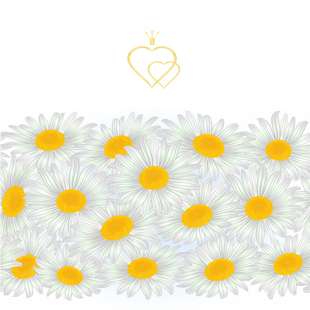 Floral border seamless background spring white flowers daisies  vintage vector Illustration for use in interior design, artwork, dishes, clothing, packaging, greeting cards editable hand drawのイラスト素材