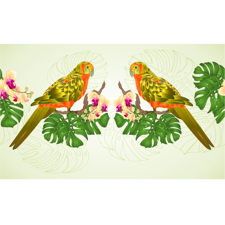 Floral border seamless background  Sun Conure Parrot tropical exotic bird   with beautiful yellow orchid and philodendron vector illustration editable hand drawのイラスト素材