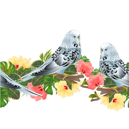 Tropical border seamless background Budgerigars home pet  parakeets  on a branch bouquet with tropical flowers hibiscus, palm,philodendron vintage vector illustrationのイラスト素材