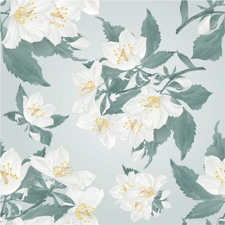 Seamless texture Jasmine flowers and buds twig  on a blue background watercolor vintage vector illustration  editable hand drawのイラスト素材