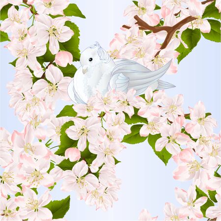 Seamless texture bird white small dove pigeon on an apple tree branch with flowers spring background watercolor vintage vector illustration editable hand drawのイラスト素材