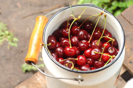 Many cherries in old cans in the villageの写真素材