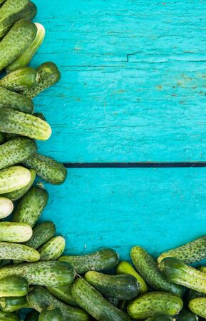 lot of cucumbers and flowers on a blue wooden background.の写真素材