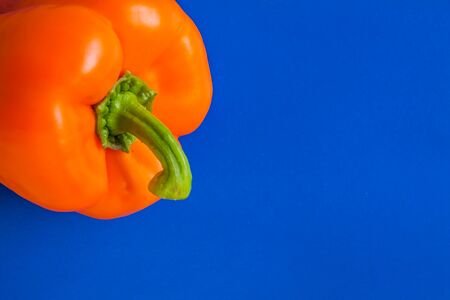 orange bell pepper on a blue background.の写真素材