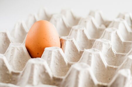 cardboard tray one brown egg on a white background.の写真素材