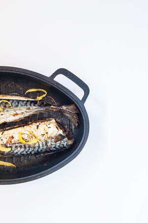 Mackerel fish in metal form for baking a white background.の写真素材
