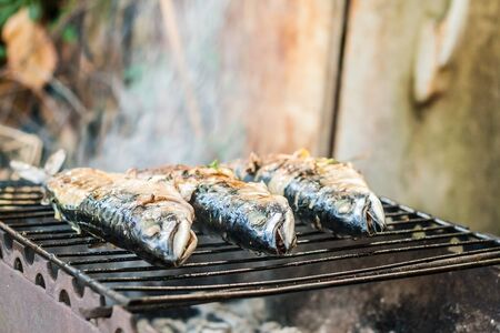 Mackerel fish prepared on the grill in smoke.の写真素材