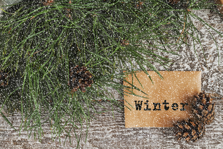 pine branches and cones, a map with text on snowy background.の写真素材