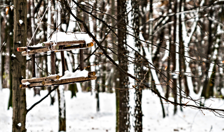 feeding trough for birds in a snowy forest close up.の写真素材