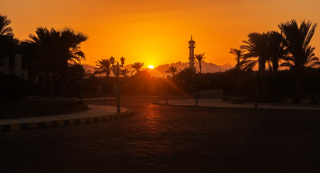silhouette of palm trees, mosque at sunset.の写真素材