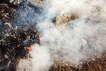 Strong fire in the forest on the lake. A lot of smoke on the background of the trees. Ashes, and fire on dry grass, close-up. Large black burned area on the river bankの写真素材