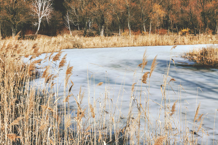 Dry grass on the shore of a snow-covered river, landscape, in retro style.の写真素材