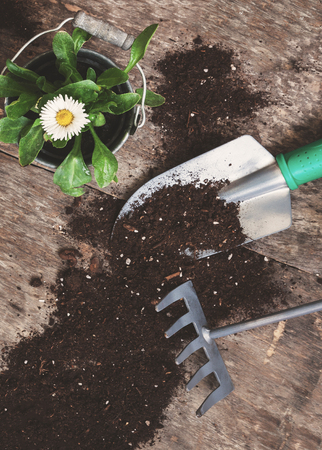 Garden tool, shovel, rake, watering can, bucket, tablets for plants, flower daisy in a flowerpot on a wooden old brown table with scattered soil, close-up. Concept of gardening.の写真素材