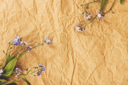 A bouquet of blue forget-me-not flowers on an old yellow rumpled parchment paper. View from above..の写真素材