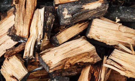 Background of many logs, firewood, close-up, top view.