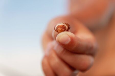 Small shell in a child's hand, in blur, close-up.の写真素材