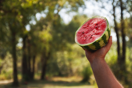 A young man holds half the watermelon in his hands. The concept of healthy nutrition and vegetarianism.の写真素材