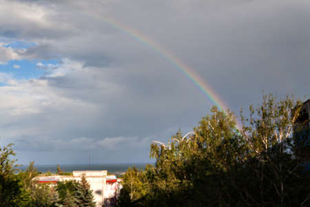 A rainbow in a stormy sky above the trees.の写真素材