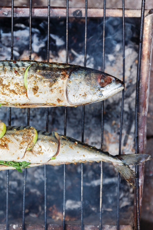 Grilled fish with spices on fire close up. Grilling fish  dorado on campfire.の素材 [FY31088536396]