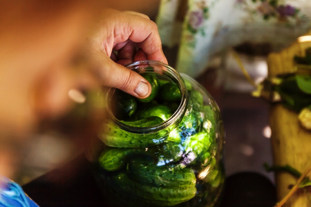 Pickling cucumbers - hands close-up, cucumber, herbs, spices, salt, hohloma, Russian style. Recipes, step execution. Harvesting vegetables in storeの写真素材