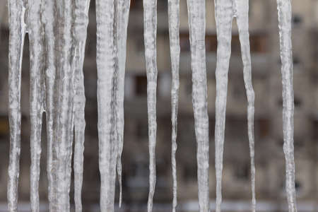 Dangerous icicles hang from the snowy roof of the house. Big icicles in the streets of the winter town.の写真素材