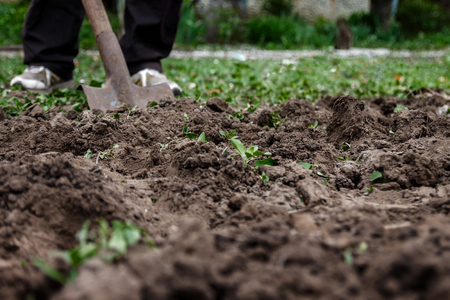 A woman's hand digs soil and soil with a shovel. Close-up, Concept of gardening, gardening.の写真素材