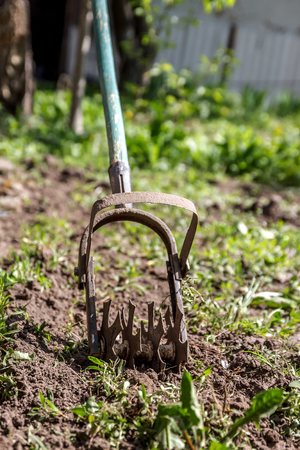 Star hand cultivator to work the soil, weed the garden. The concept of spring gardening.の写真素材