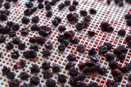 cherries dried in a dehydrator dryer. A way to preserve vitamins. Vegetarian meal, healthy and...