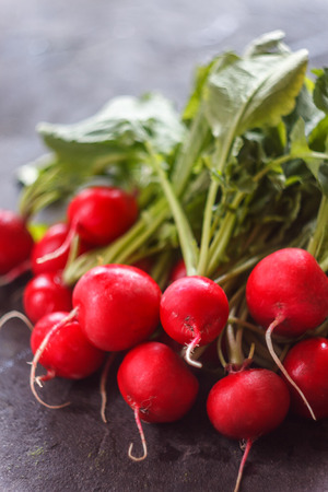Fresh juicy red radish washed in a colander on a dark backgroundの写真素材