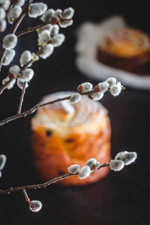 Easter cake with icing sugar on a dark background and with willow flowers.の写真素材