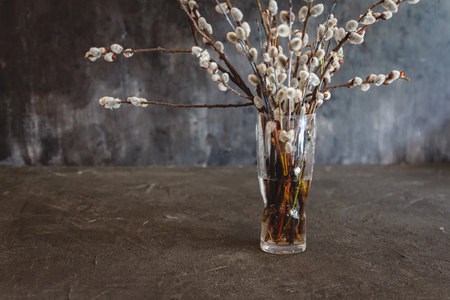 vase with willow flowers cats on a dark vintage background with space for text.の写真素材