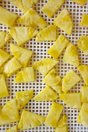 chopped pineapple in a dehydrator dryer, close-up. View from above