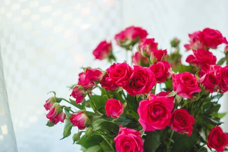 background of the many delicate little pink roses.の写真素材
