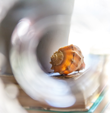 A large sea shell lies on a stack of old books on a light background in creative blur. Travel dream...