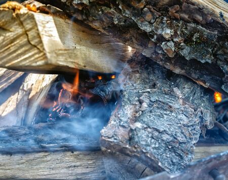 Only he took appeared the fire among the wood-fire in the grill.
