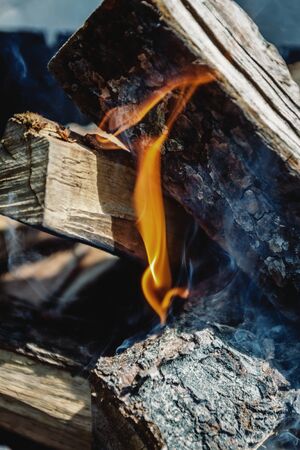 Only he took appeared the fire among the wood-fire in the grill.