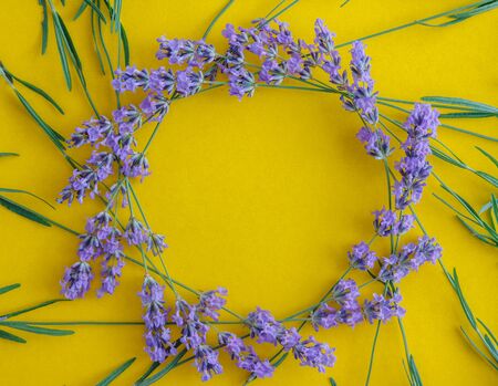 round or square frame of a bouquet of fresh lavender flowers on a bright yellow background, top view. Copy space. Flat lay.の写真素材