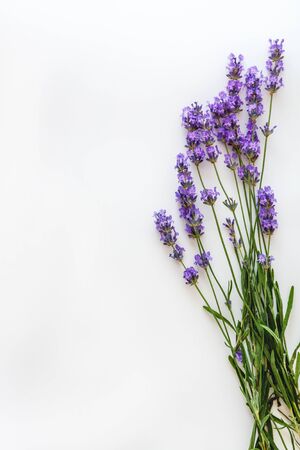 bouquet of fresh lavender flowers on white background, top view, isolated. Copy space. Flat lay.の写真素材