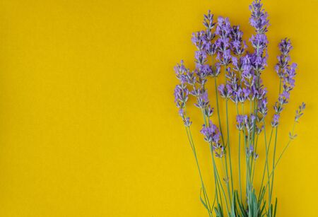 bouquet of fresh lavender flowers on a bright yellow background, top view. Copy space. Flat lay.の写真素材